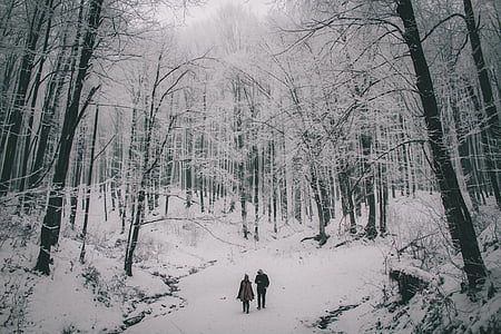 two persons walking at forest thumbnail