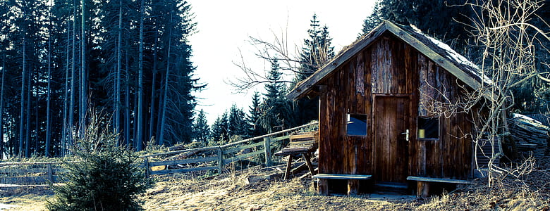 brown wooden house near trees thumbnail