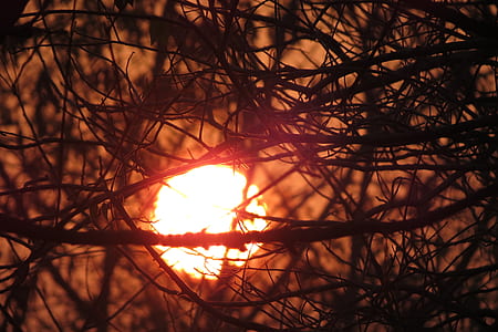 selective focus photography of sunset thumbnail