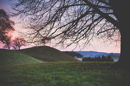hill surrounded with trees during golden hour thumbnail