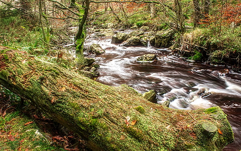 river timelapse photography thumbnail