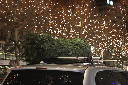 Christmas tree on top of car thumbnail