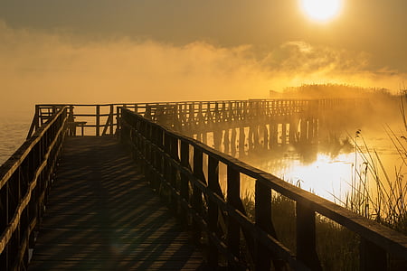 brown wooden dock under sun thumbnail
