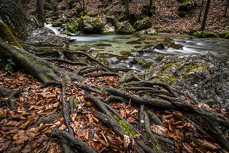 timelapse photograph of river with stones thumbnail
