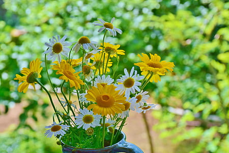 yellow and white flowers on mug thumbnail