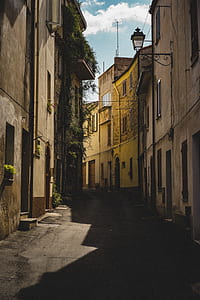 alley photography of road between brown building thumbnail