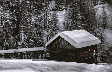 brown wooden cabin covered in snow surrounded by bare trees at daytime thumbnail