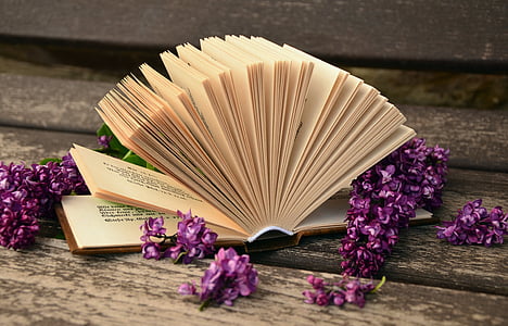 book surrounded of purple flowers thumbnail