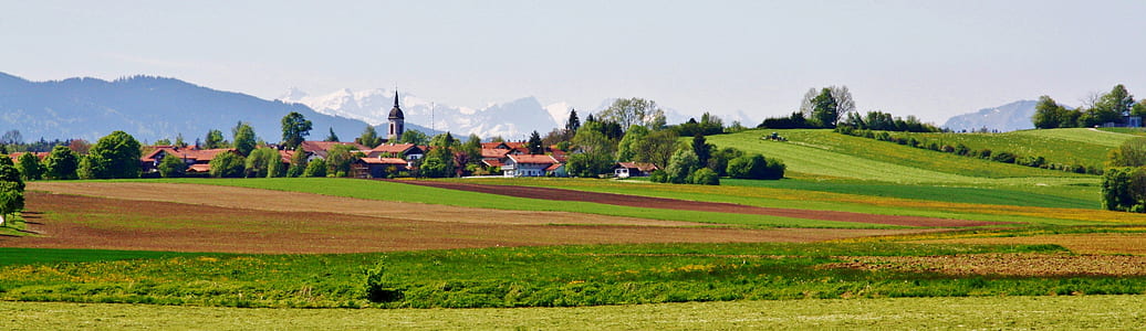 city near the green grass field at daytime thumbnail