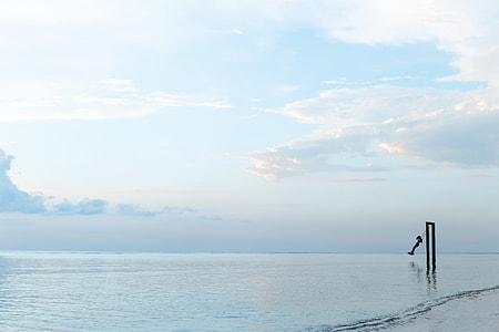 body of water thumbnail