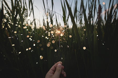 person holding firework stick thumbnail