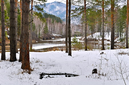 body of water near green leafed trees and snow capped ground thumbnail