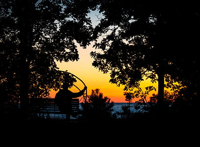 Photography of Silhouettes of Man and Trees thumbnail