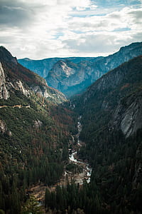bird's-eye photography of trees on mountain thumbnail