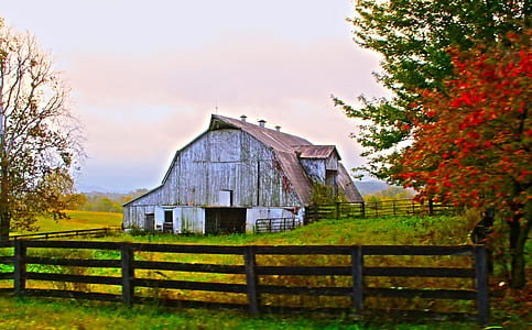 white and brown wooden barn behind brown wooden fence near trees thumbnail