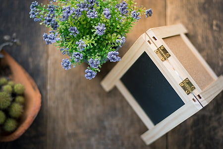 selective focus photo of brown chalkboard easel thumbnail