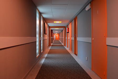 gray and orange painted room thumbnail
