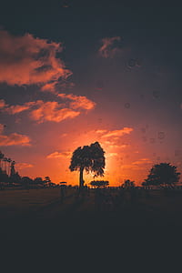 floating bubbles during sunset thumbnail