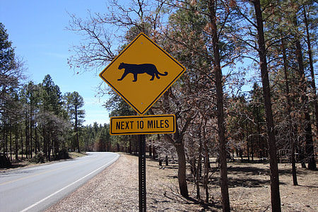 Warning Sign, Traversing Wild thumbnail