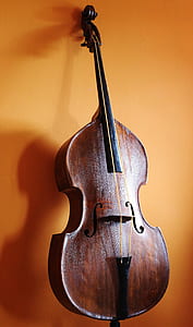 brown cello thumbnail