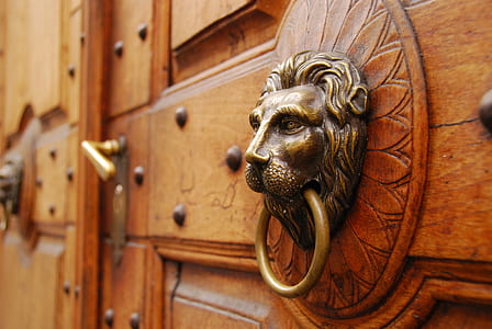 close up photography of wooden door with tiger door knocker thumbnail