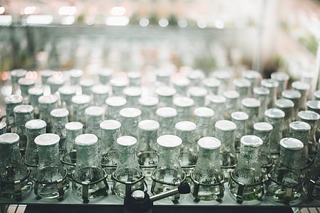 file of empty clear glass bottle lot thumbnail