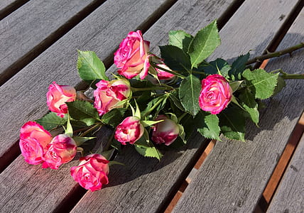 close up photo of pink rose bouquet thumbnail