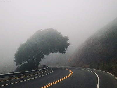 Black Asphalt Road Near Mountain and Green Leafed Tree ] thumbnail