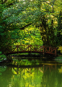 gray bridge under green trees thumbnail