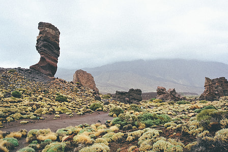 green plants near rock formation thumbnail