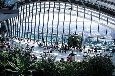 Person Sitting Inside Gray Framed Clear Glass Wall Building thumbnail
