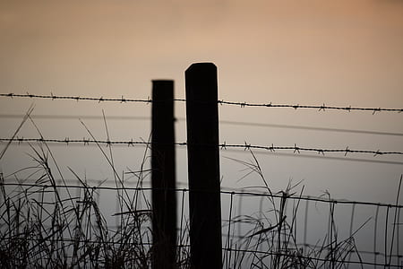 black barb wire thumbnail