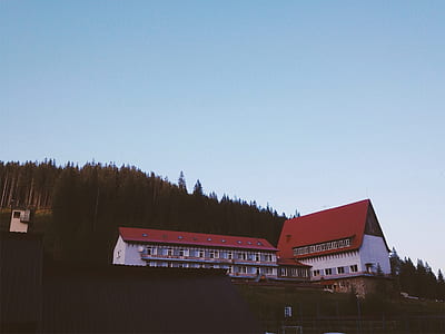 hotel, building, trees, house thumbnail