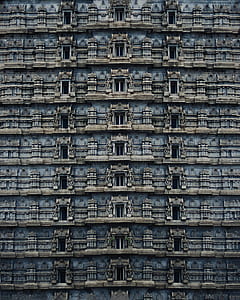 Padmanabhaswamy temple, India during daytime thumbnail
