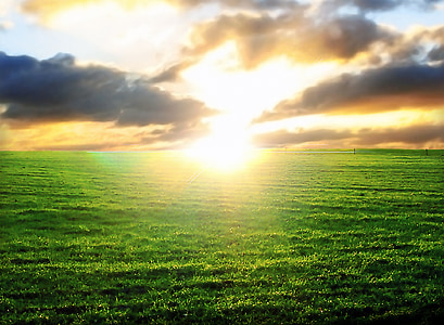 green grass field under orange and gray sky during golden hour thumbnail