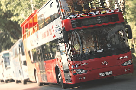 red and white Hyundai Higer double deck bus on road with other bus thumbnail
