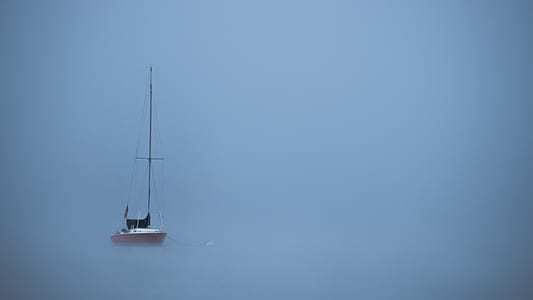white and black boat on body of water covered with fogs thumbnail