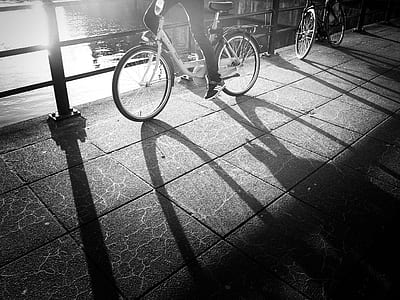 grayscale photo of person riding on bicycle beside fence thumbnail