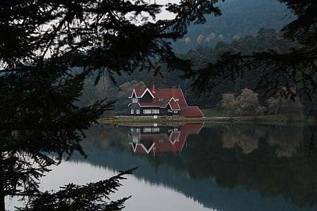 brown, black, and white wooden house beside body of water thumbnail