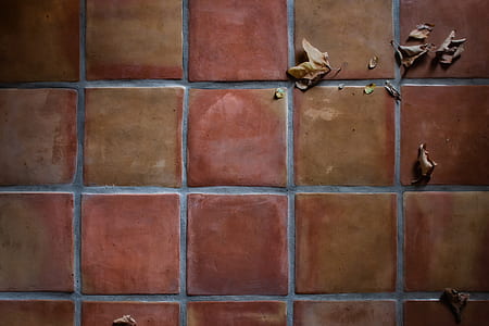 brown dried leaves on brown tiles thumbnail