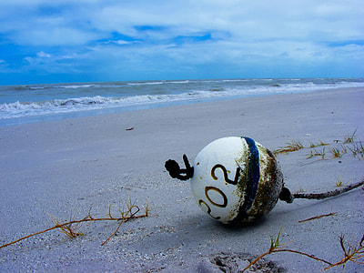 white ball on seashore thumbnail