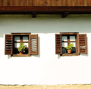 green leafed plant on brown wooden window thumbnail