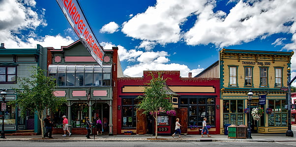 Tree in Front of Establishment thumbnail
