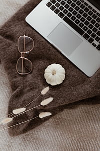 Laptop, glasses & small white pumpkin thumbnail