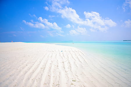 Seashore thumbnail