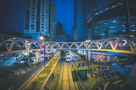 Group of People Walking Under the High Rise Buildings thumbnail