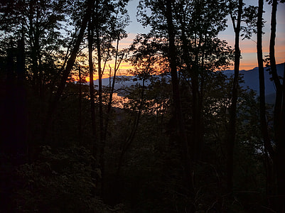Burnaby Mountain, Burnaby thumbnail