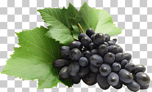 Grape , Large Grapes , black grape PNG clipart