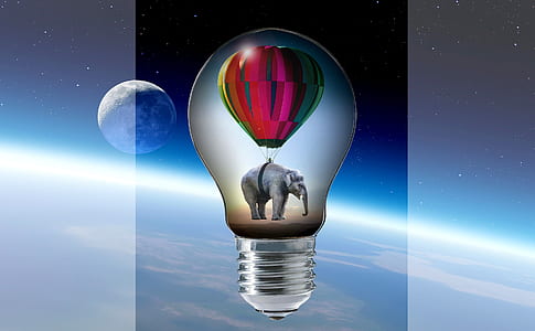 elephant with hot hair balloon bulb artwork thumbnail