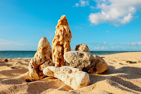 shallow focus photography of rock formation on seashore during daytime thumbnail